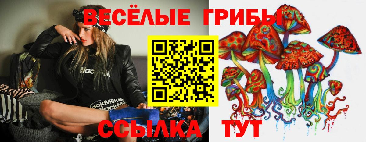 Галлюциногенные грибы Magic Shrooms  купить закладку  Урюпинск  Вход с VPN 